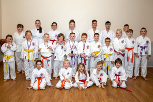 Ware karate competition medals showing